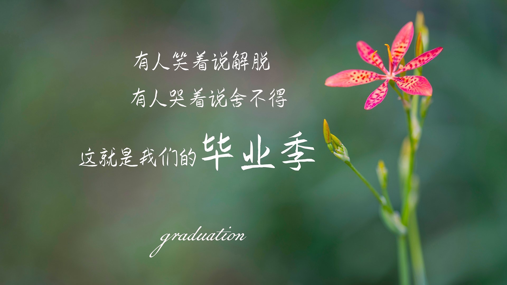 女性电竞崛起,打破偏见,共建包容多元的行业环境,女子电竞什么意思