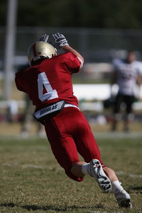 开云体育登录网站入口-足球青训进入社区模式拓展非专业球员参与渠道，足球俱乐部青训什么条件